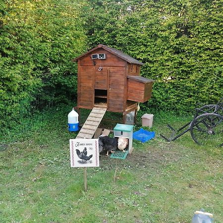 Chambre De L'Oree Du Bois Audeux Zewnętrze zdjęcie